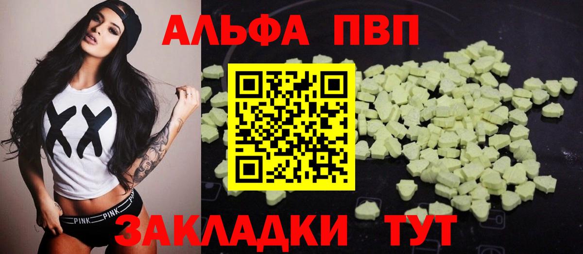A PVP СК КРИС Казань