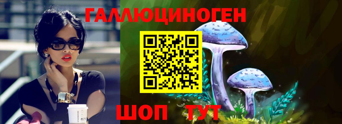 Казань  Псилоцибиновые грибы Psilocybe  Вход с VPN 